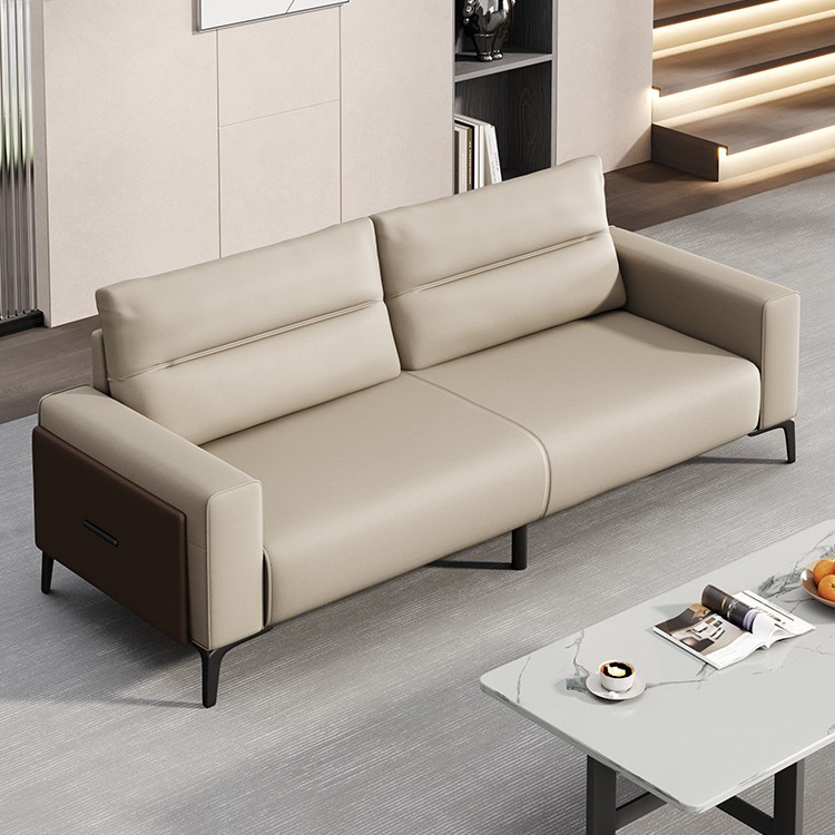 Home Office Guest Room - Office reception sofa coffee table combination