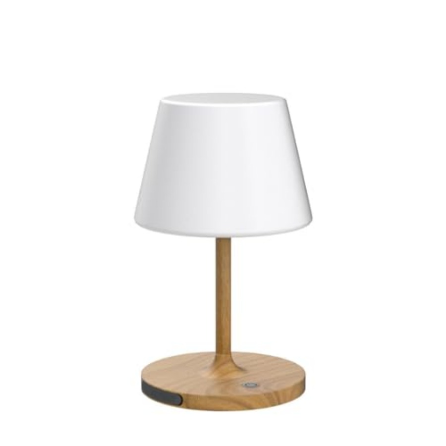 Outdoor Battery Operated Table - огляд і ціна Desk Lamp Led