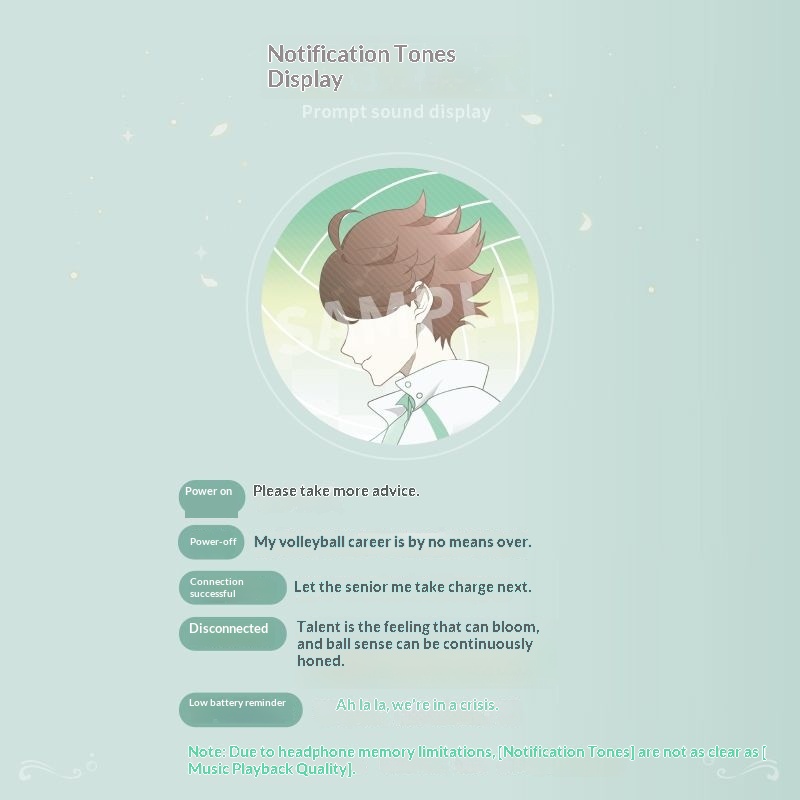 Oikawa Tooru Haikyuu  Wireless - огляд і ціна Noise Canceling Headphones
